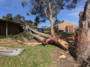 Roadside clean up post storm