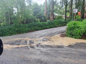 Olinda Residents in Thomson Avenue are calling for better road conditions