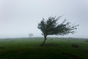 Wind warning issued for Saturday morning