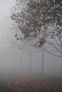 Cold and dry weather for the weekend