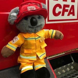 Belgrave CFA and Library team up