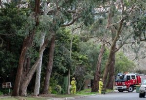 Powerline snaps in Upwey
