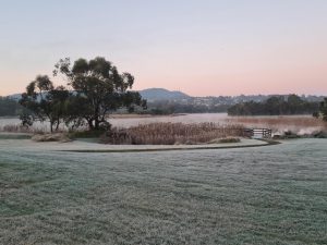 Frost blanket the region with cold snap