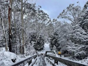 Low cost winter activities for these school holidays