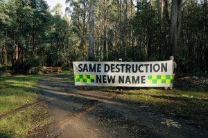 Forest future has politicians a buzz