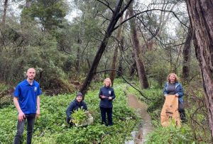 Historic waterway in Ferntree Gully renamed
