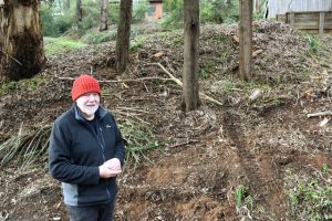 Storm interim review welcomed