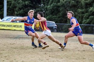 Hawks challenge the Dogs