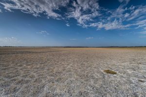 Yarra Valley Water tops Financial Times Asia-Pacific Climate Leaders List for second year running