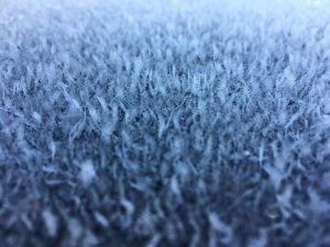 Winter is not done yet