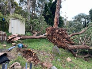 Continuing high winds impacting power network
