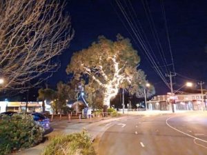 Ferntree Gully celebrates new lighting install