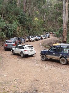 Community fears for Great Forest National Park Proposal
