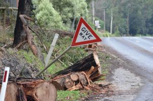 Brace and prepare for severe weather