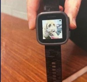 Garmin watch found in Boronia