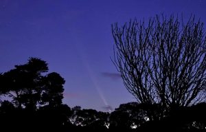 Early morning comet capture by local astrophotographer