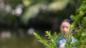 Young Victorians shaping a greener future for the state
