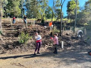$14K grant to help revive Kalorama Park’s bushland