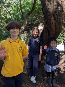 Primary school, primary goals: Kallista kids ready to grow