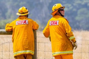 Scrub fire quickly stamped out by CFA