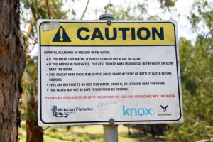 Quarry Lake remains ‘no swim’