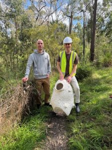 Artificial hollows provide hope for iconic owl