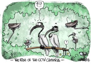 CARTOON: CCTV invasion