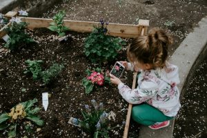 Kids go free to the flower and garden show