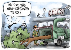 CARTOON: Coles tree service
