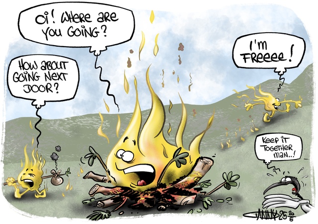 CARTOON: Out of control fires