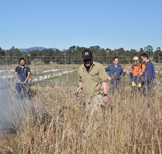 Cultural burn back to Spadonis Reserve to revitalise species