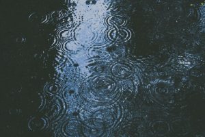 Frosty and wet weekend for the Dandenongs and Yarra Valley