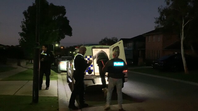 KangArrest_475415_02.jpg