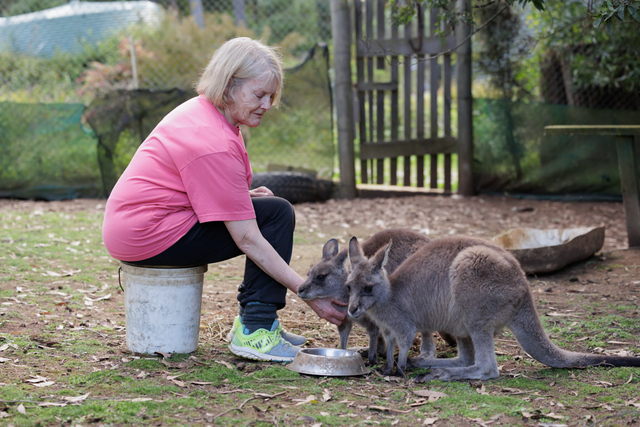 Celebrate pets and support Gembrook Wildlife Shelter