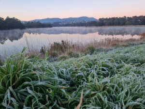 Fog and frosty starts for the weekend