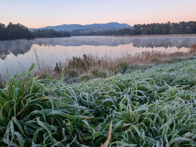 Fog and frosty starts for the weekend