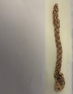 Lost Bracelet found in Bayswater