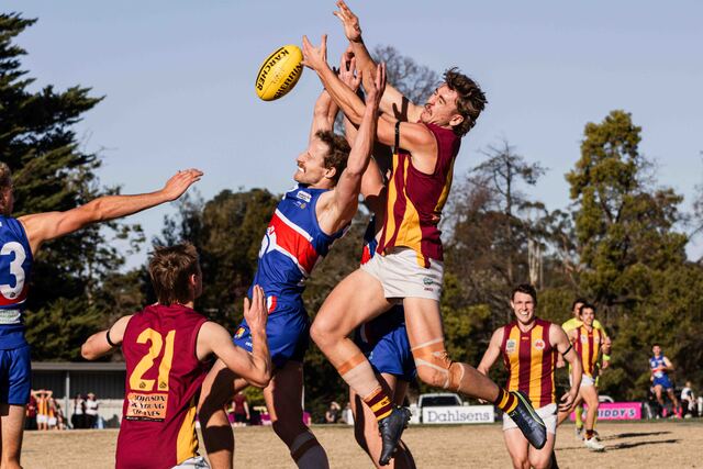 Monbulk topple Wandin