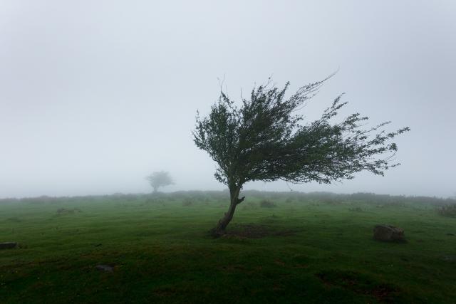 Damaging winds predicted for central and eastern ranges