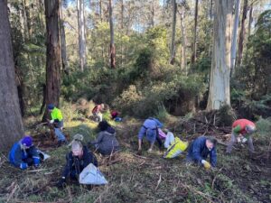 Cache me outside – weeding edition