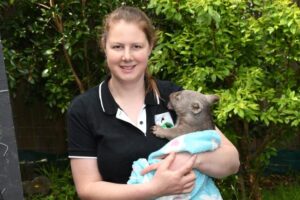 Act needs a rewrite, local wildlife carer says