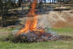 CFA responds to blaze in Olinda tree