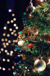 Navy Christmas wish granted