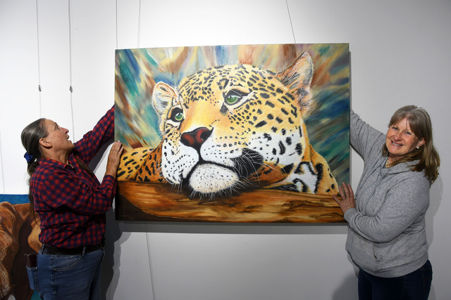 Art shines light on domestic violence