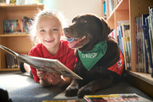 Christmas push to fund animal-assisted programs in Knox