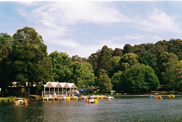 February 2025, farewell to the paddleboats plus summer weather played havoc