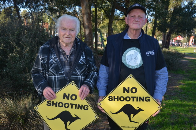 ‘A mockery’: Kangaroo shooting continues during bushfires
